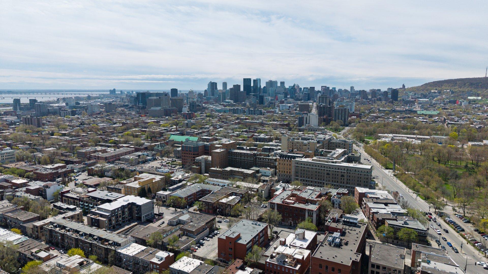 









1973


Rue Sherbrooke E.

,
Montréal (Le Plateau-Mont-Royal),




QC
H2K1B8

