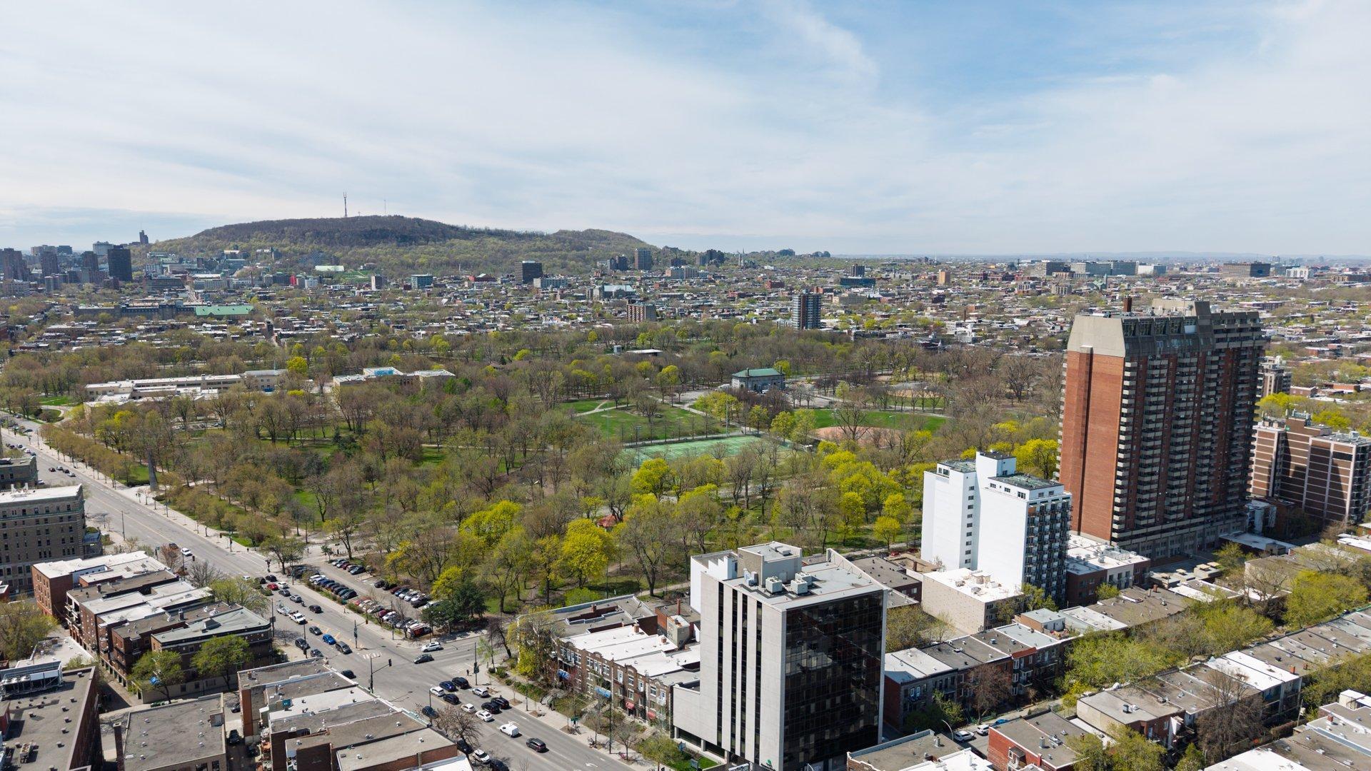 









1973


Rue Sherbrooke E.

,
Montréal (Le Plateau-Mont-Royal),




QC
H2K1B8

