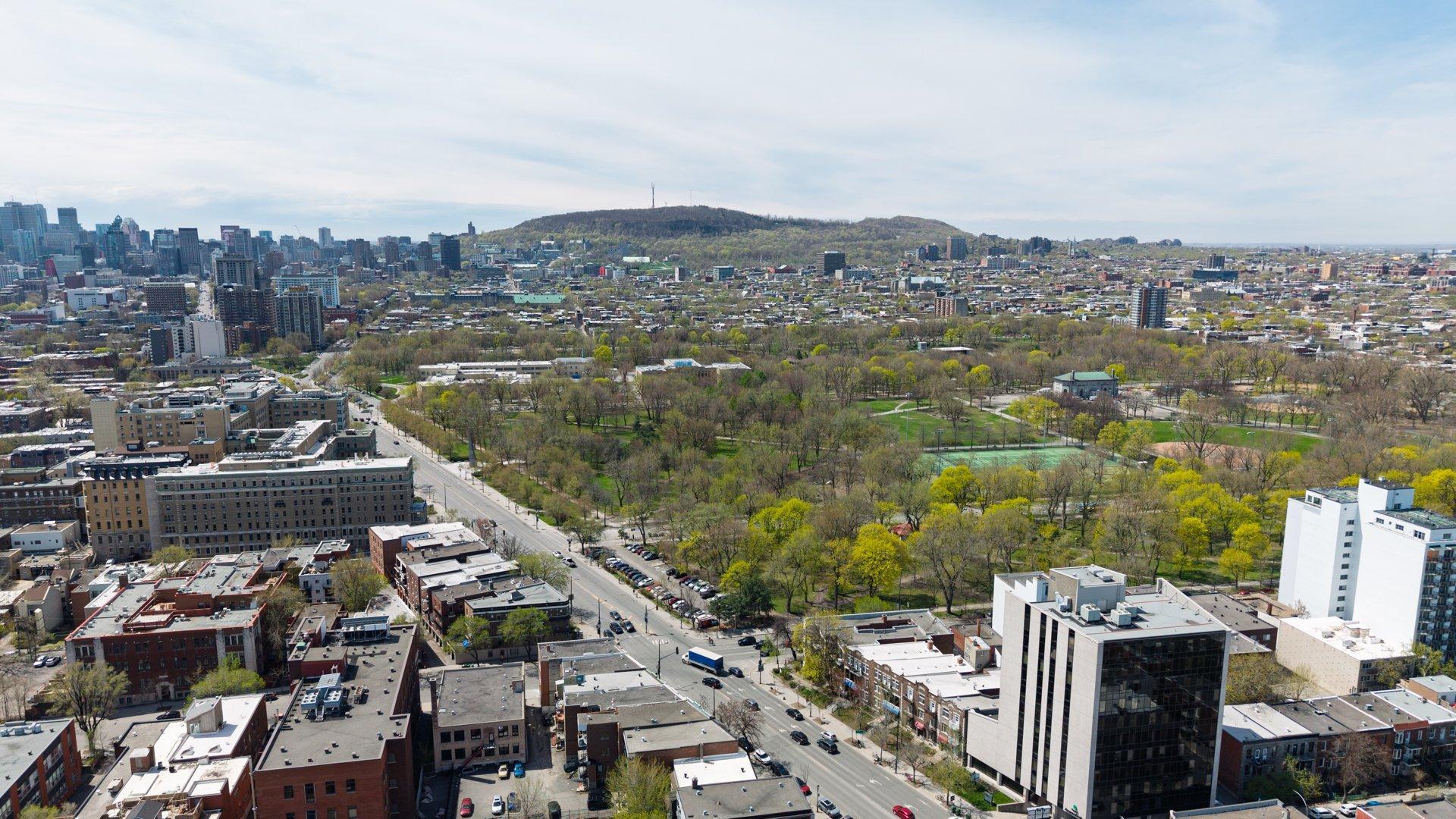 









1973


Rue Sherbrooke E.

,
Montréal (Le Plateau-Mont-Royal),




QC
H2K1B8

