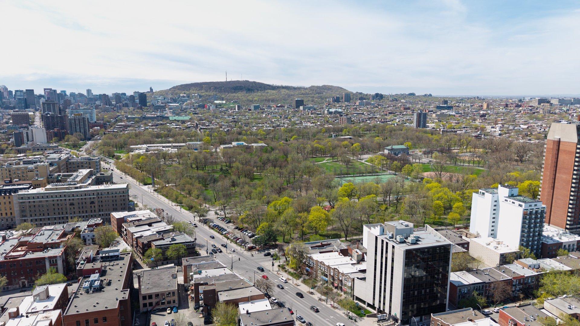 









1973


Rue Sherbrooke E.

,
Montréal (Le Plateau-Mont-Royal),




QC
H2K1B8

