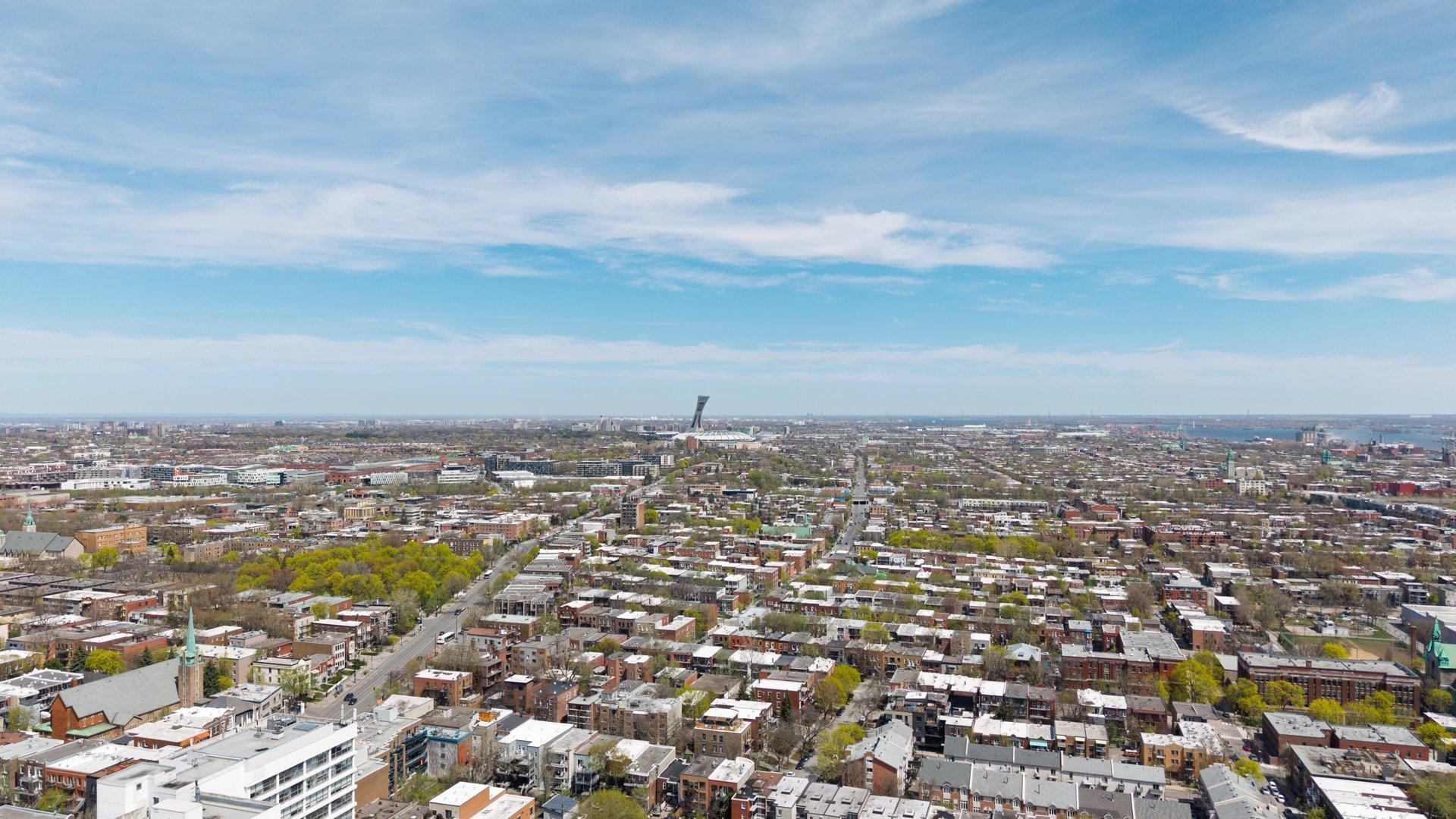 









1973


Rue Sherbrooke E.

,
Montréal (Le Plateau-Mont-Royal),




QC
H2K1B8


