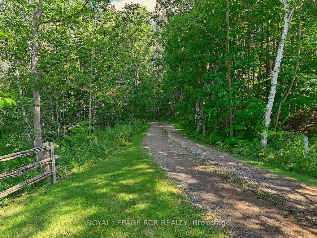 









757402


2nd

Line East,
Mulmur,




ON
L9V 2V8

