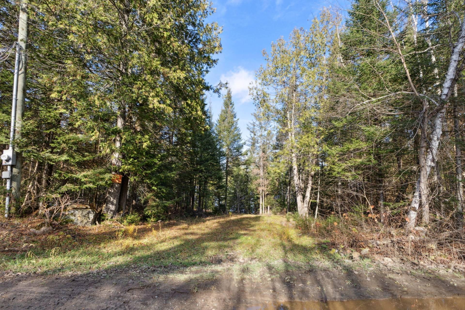 









771


Ch. Caron

,
Notre-Dame-de-Pontmain,







QC
J0W1S0

