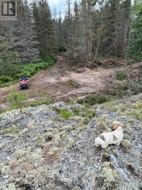 












PIN 73422053

,
Sables-Spanish Rivers,







Ontario
P0P1P0


