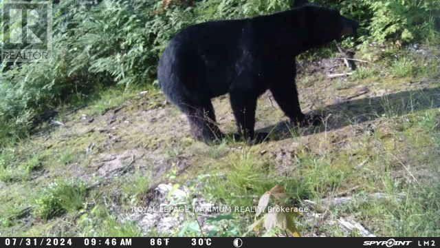 












PIN 73422053

,
Sables-Spanish Rivers,







Ontario
P0P1P0

