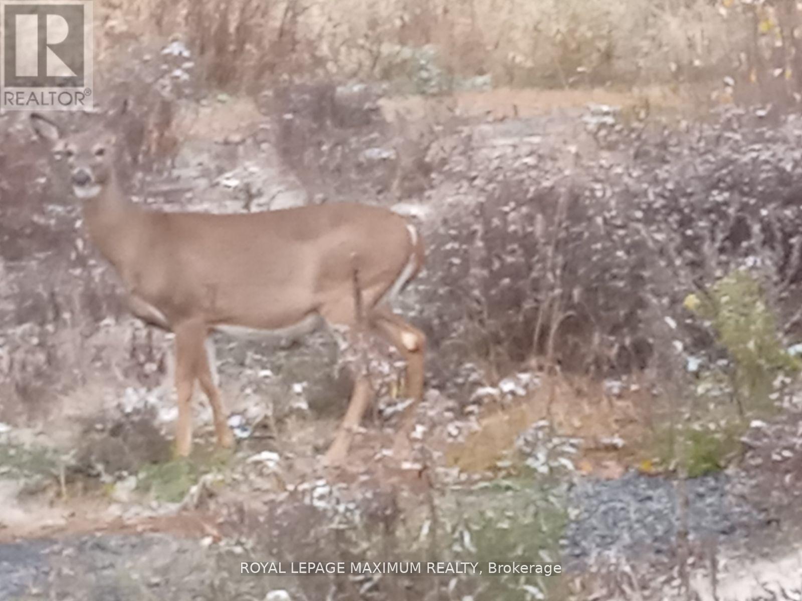 












PIN 73422053

,
Sables-Spanish Rivers,







Ontario
P0P1P0

