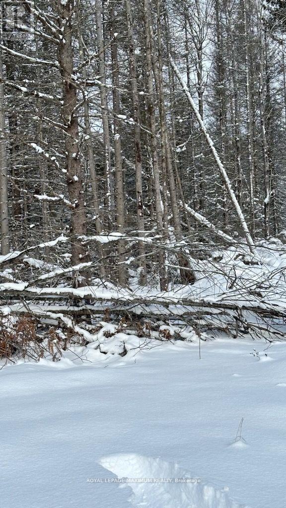 












PIN 73422053

,
Sables-Spanish Rivers,







Ontario
P0P1P0

