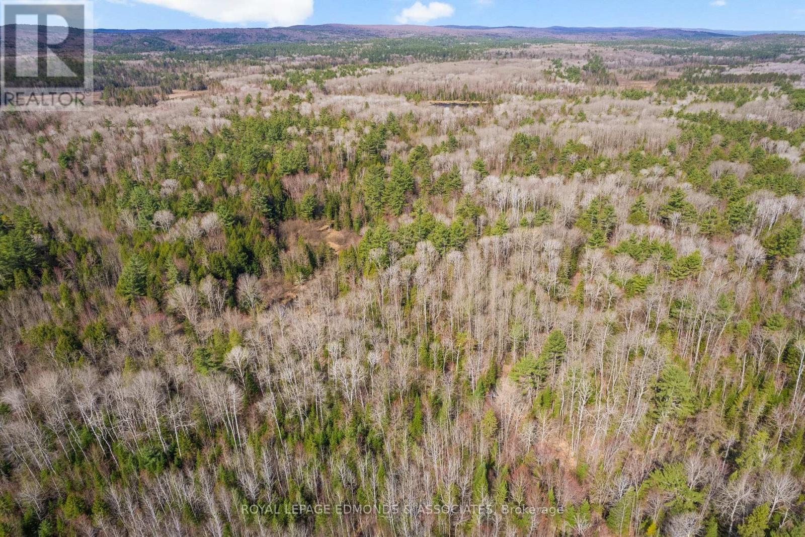 












0 DEER TRAIL ROAD

,
Killaloe, Hagarty and Richards,







Ontario
K0J2A0

