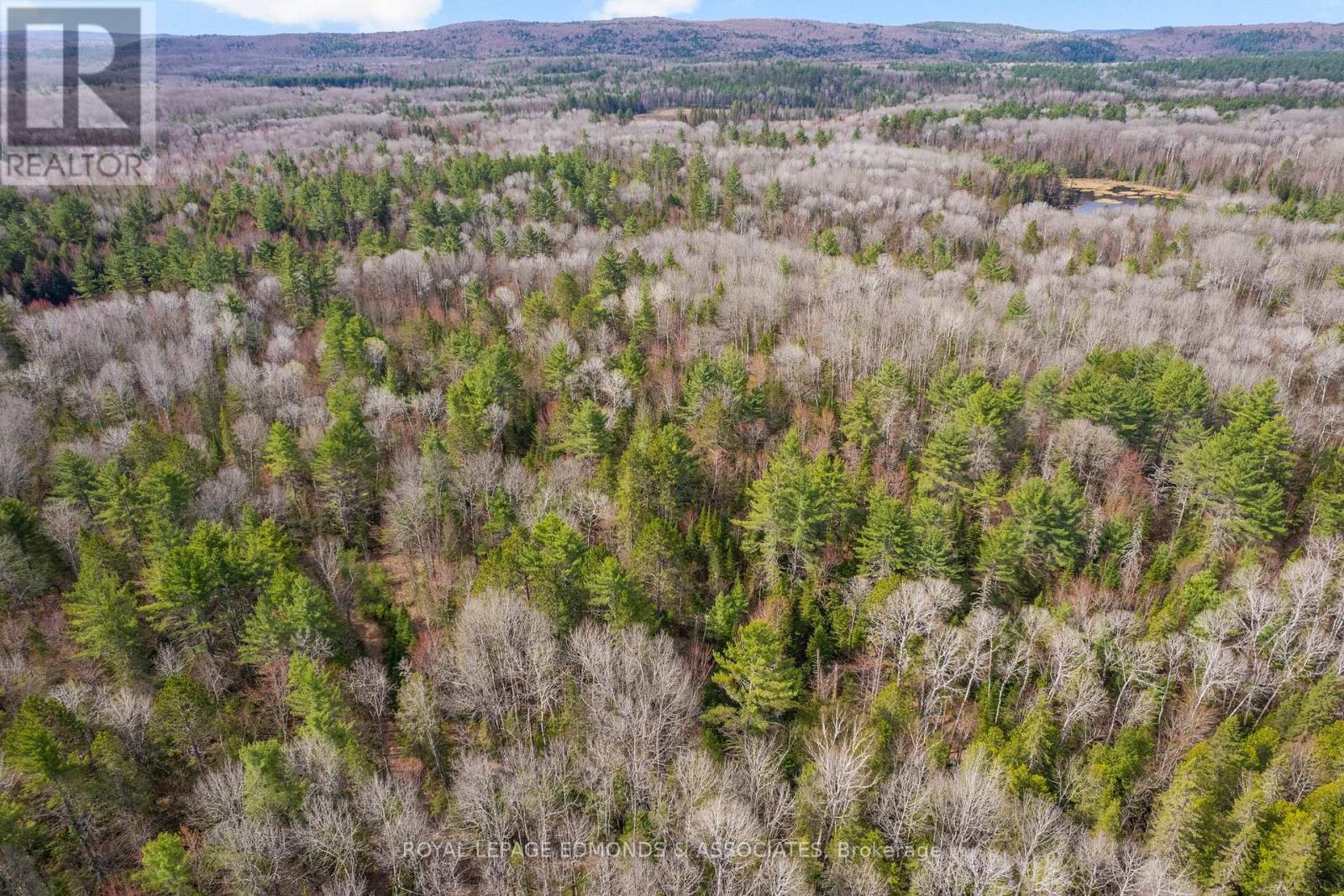 












0 DEER TRAIL ROAD

,
Killaloe, Hagarty and Richards,







Ontario
K0J2A0

