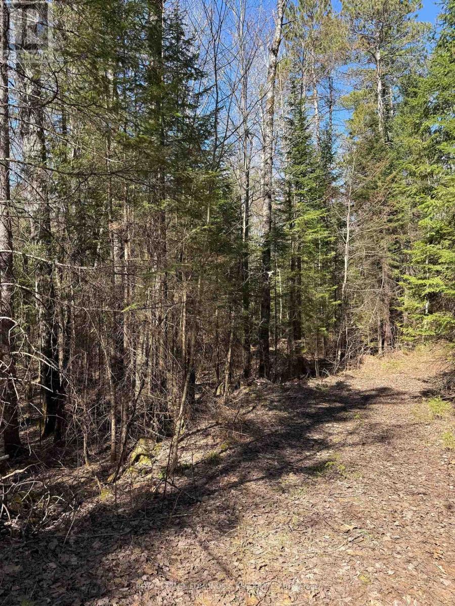 












0 DEER TRAIL ROAD

,
Killaloe, Hagarty and Richards,







Ontario
K0J2A0

