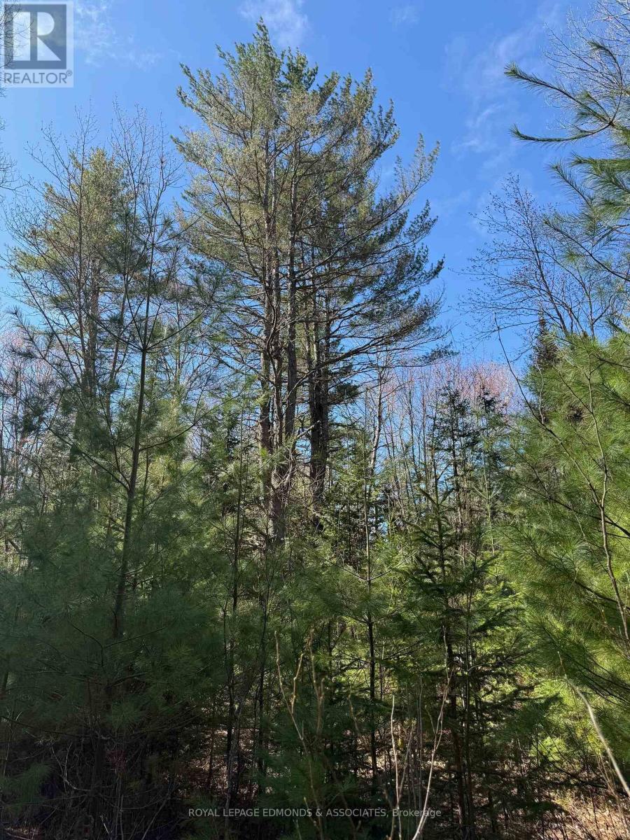 












0 DEER TRAIL ROAD

,
Killaloe, Hagarty and Richards,







Ontario
K0J2A0

