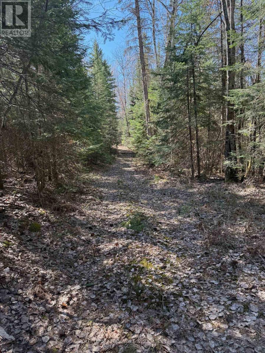 












0 DEER TRAIL ROAD

,
Killaloe, Hagarty and Richards,







Ontario
K0J2A0

