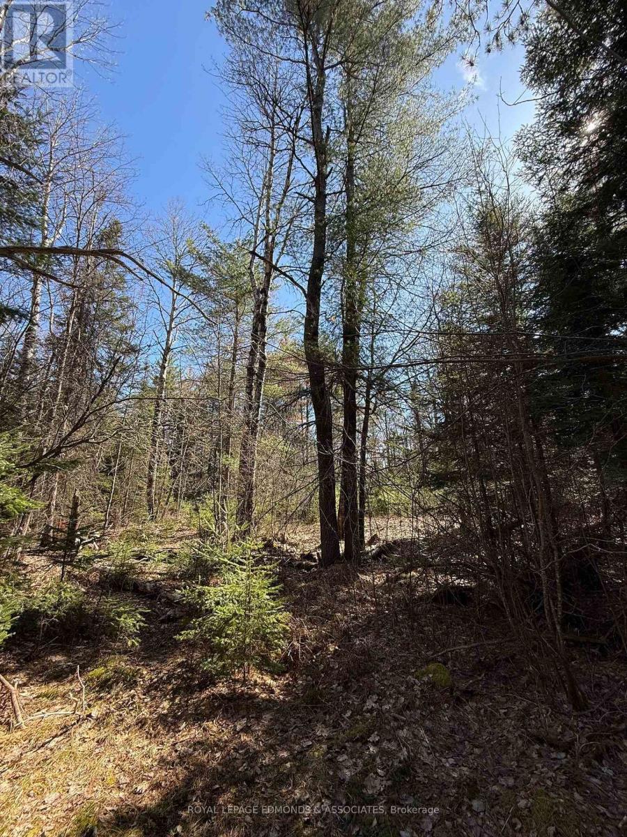 












0 DEER TRAIL ROAD

,
Killaloe, Hagarty and Richards,







Ontario
K0J2A0

