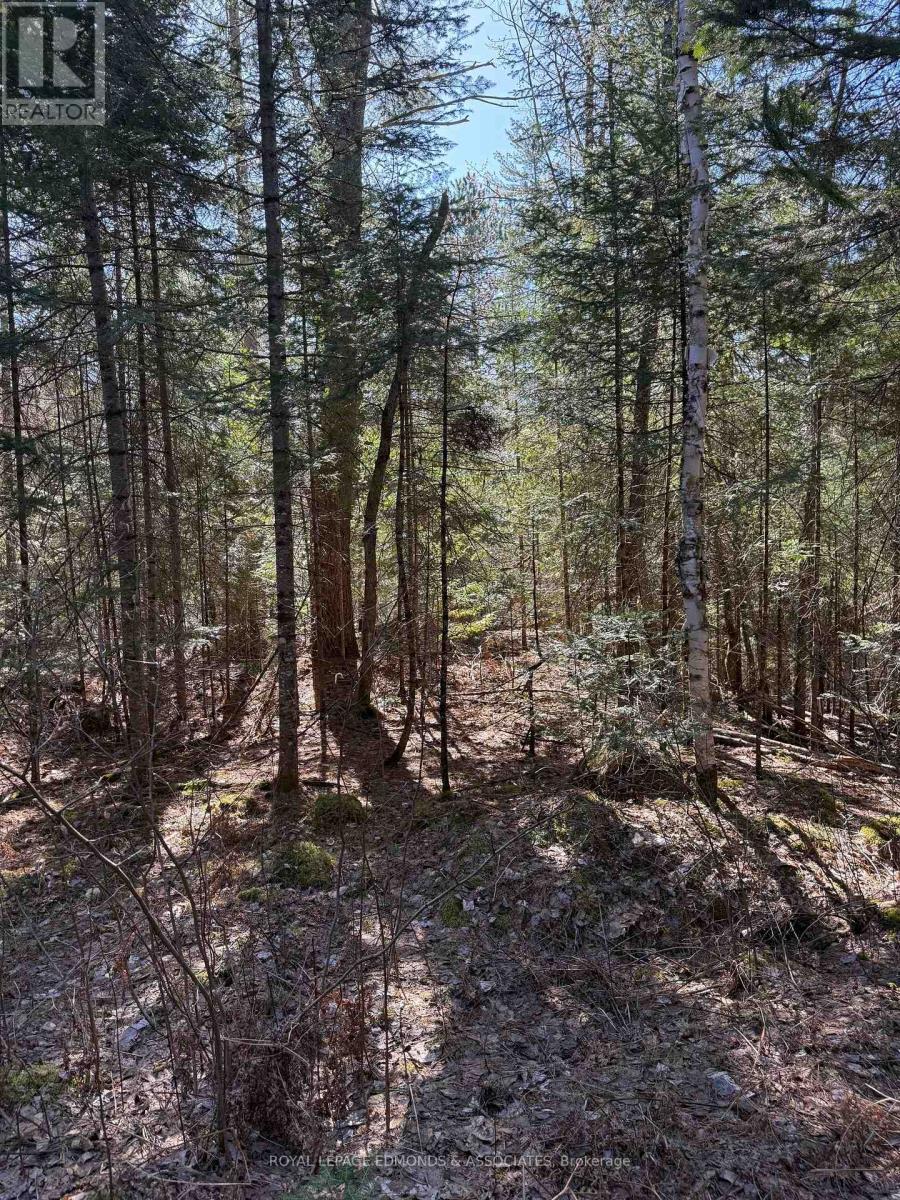 












0 DEER TRAIL ROAD

,
Killaloe, Hagarty and Richards,







Ontario
K0J2A0

