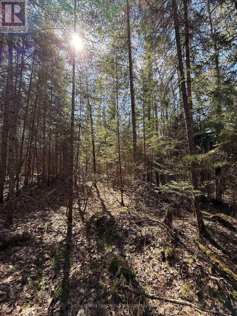 












0 DEER TRAIL ROAD

,
Killaloe, Hagarty and Richards,







Ontario
K0J2A0

