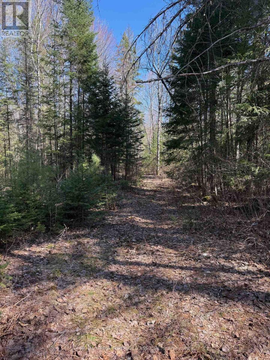 












0 DEER TRAIL ROAD

,
Killaloe, Hagarty and Richards,







Ontario
K0J2A0

