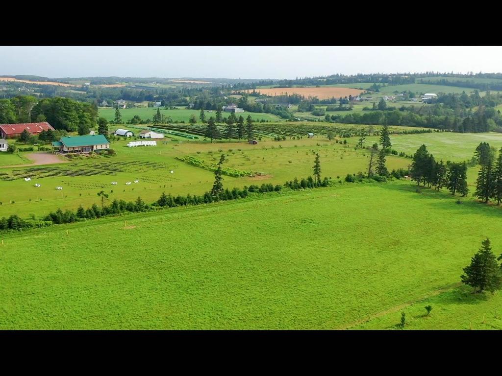 












820 Millboro Road

,
Wheatley River,







PE
C0A 1N0

