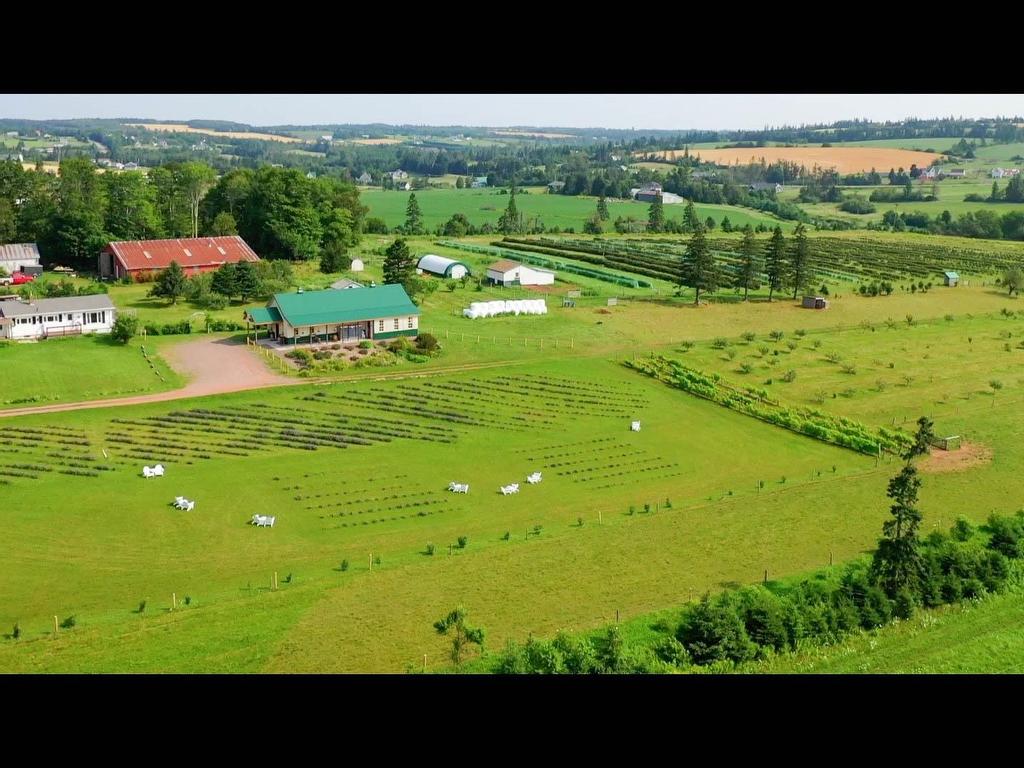 












820 Millboro Road

,
Wheatley River,







PE
C0A 1N0

