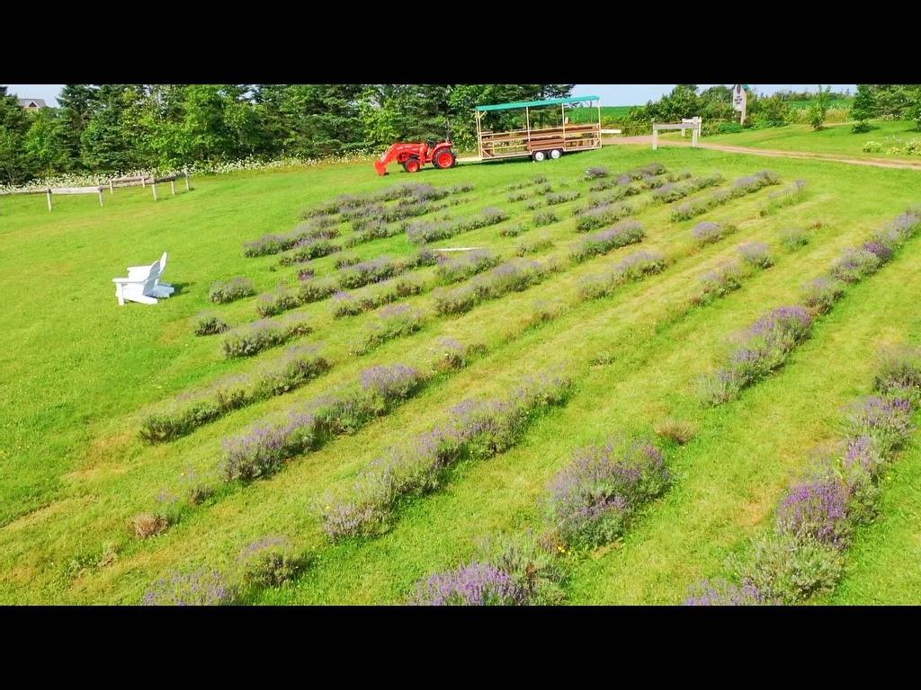 












820 Millboro Road

,
Wheatley River,







PE
C0A 1N0

