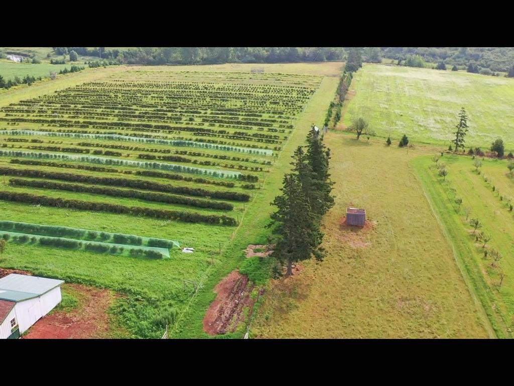 












820 Millboro Road

,
Wheatley River,







PE
C0A 1N0

