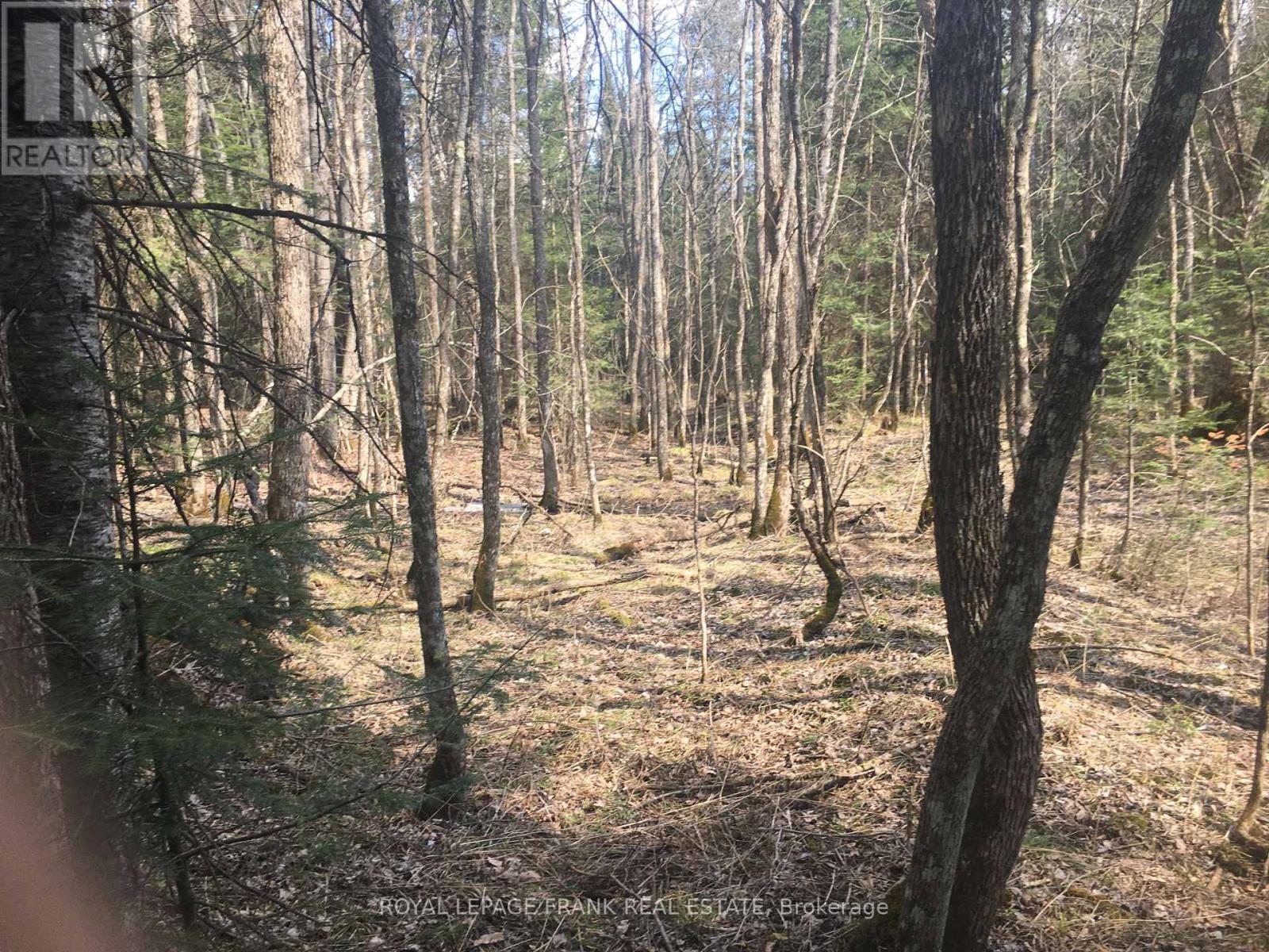 












0 PT LT 13 CON 8 ROAD

,
Wollaston,







Ontario
K0L1A0

