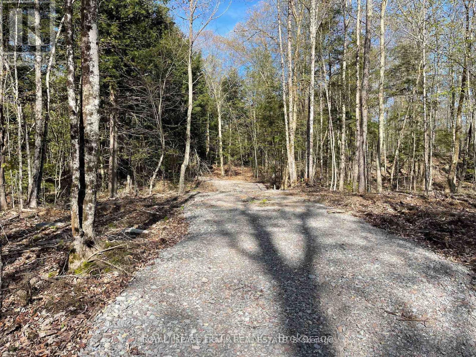 












0 PART LT 18-20 CON 13 ROAD

,
Tudor and Cashel (Tudor Ward),







Ontario
K0L1W0

