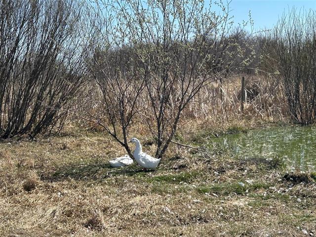 









2137


Gimli

RD,
Petersfield,







MB
R0C 2L0

