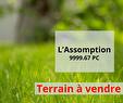 Terre/Terrain