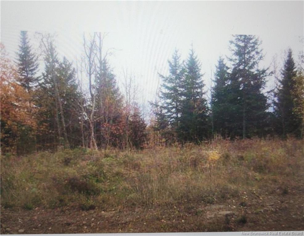 









lot 07-3


SERENITY

LANE,
Chelmsford,







NB
E9E 0B4

