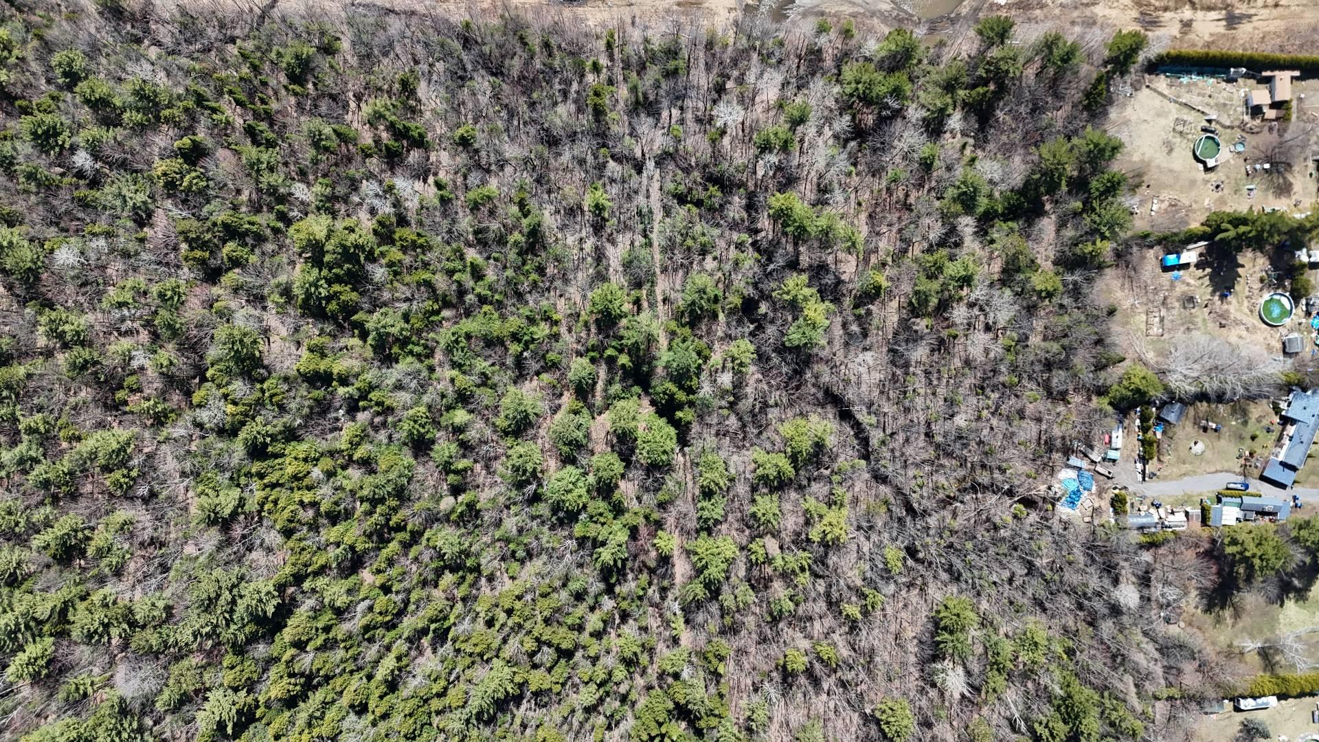 












Rue Télesphore

,
Terrebonne (Terrebonne),







QC
J6Y1C2

