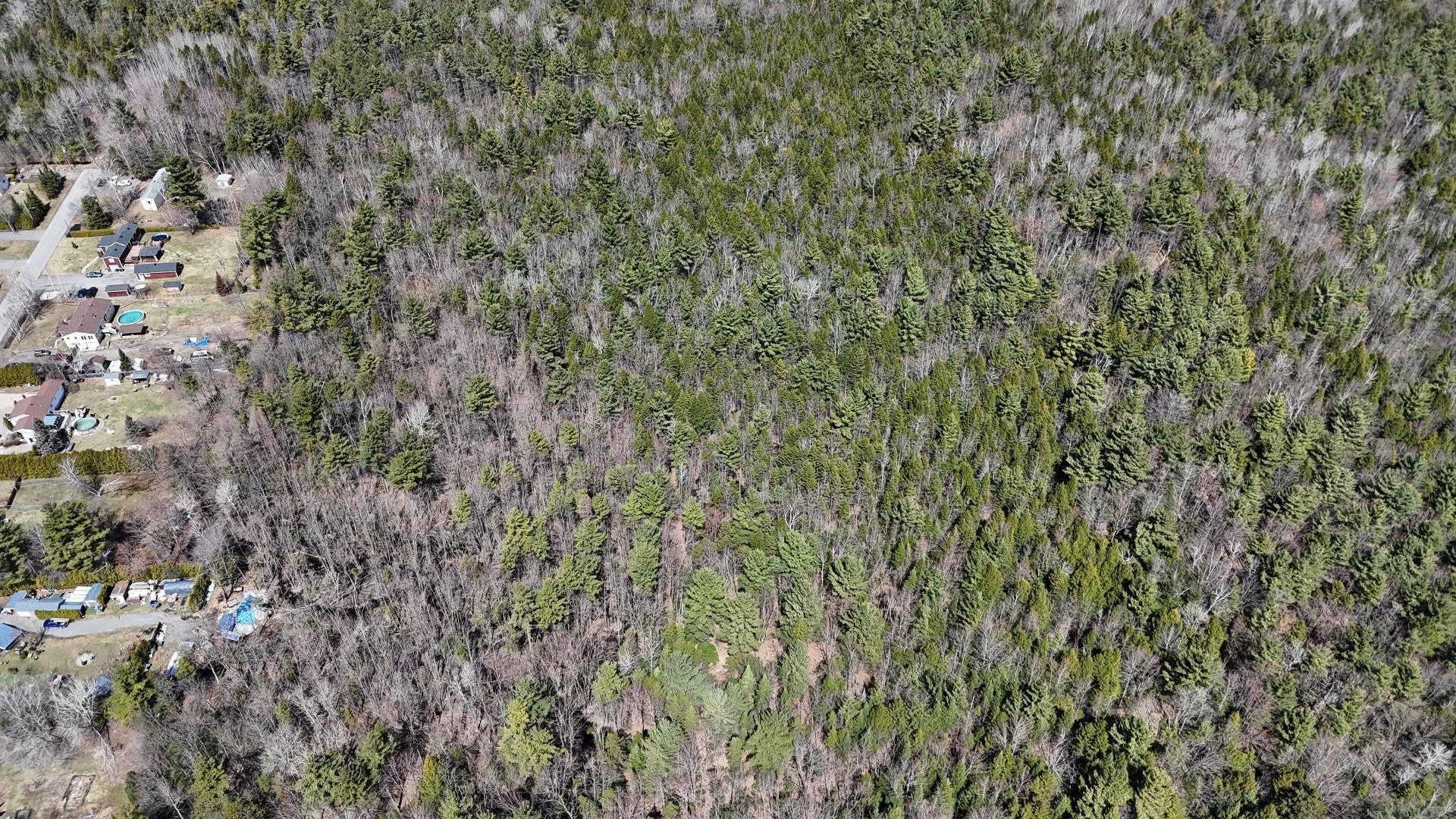 












Rue Télesphore

,
Terrebonne (Terrebonne),







QC
J6Y1C2

