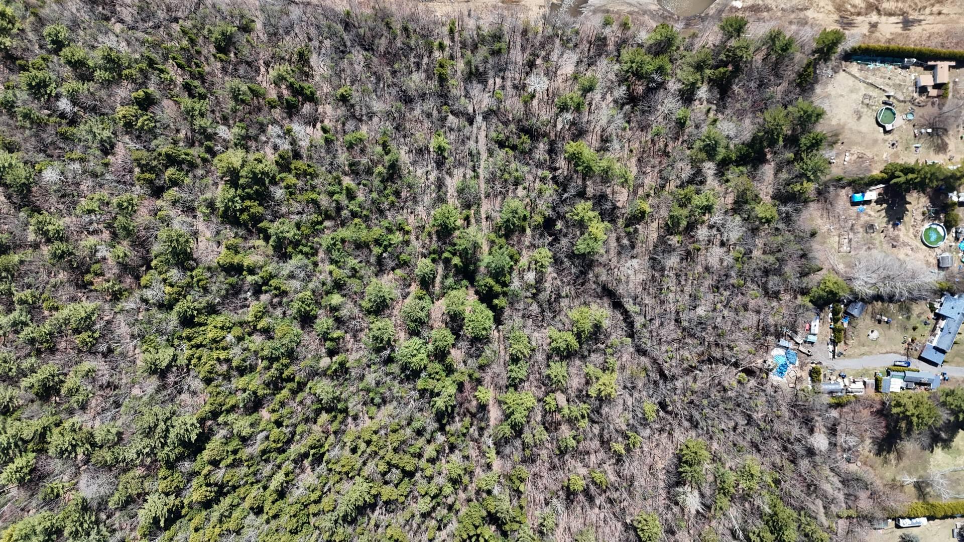 












Rue Télesphore

,
Terrebonne (Terrebonne),







QC
J6Y1C2

