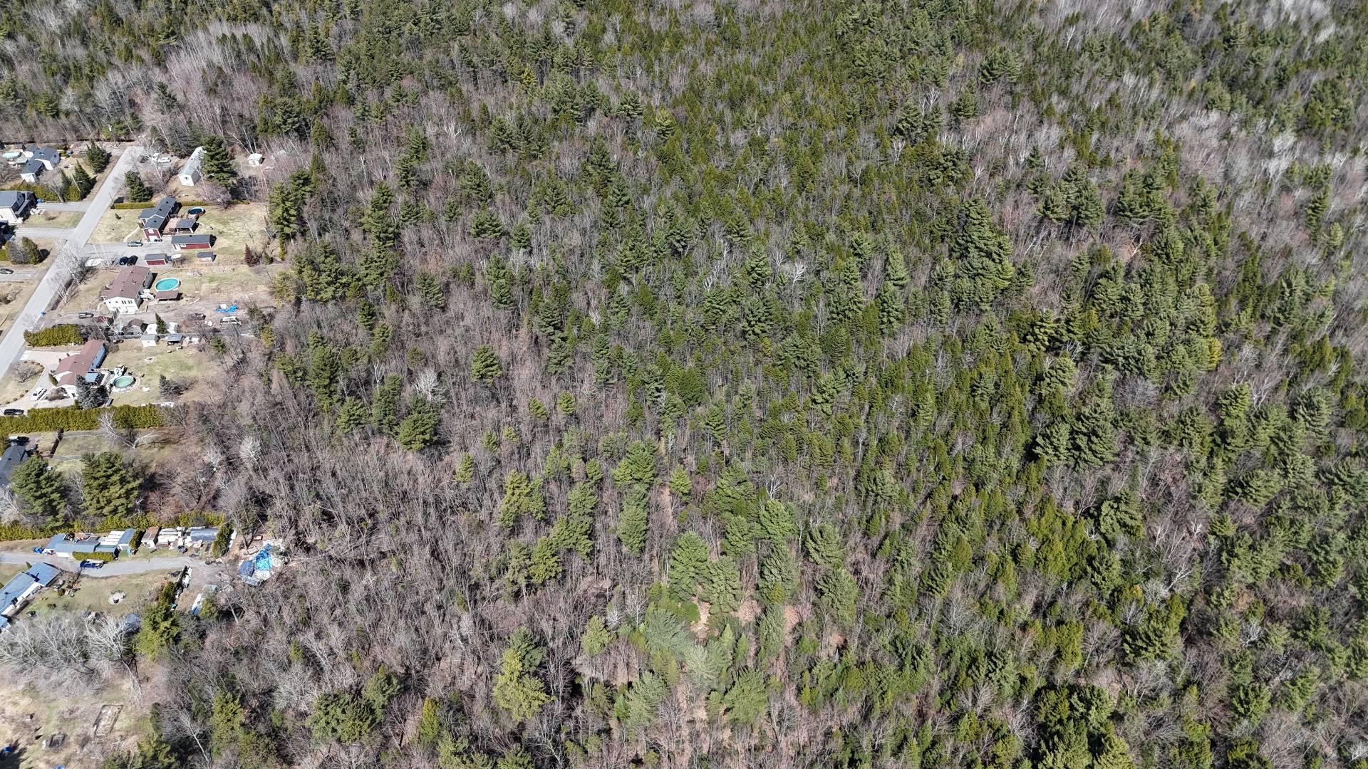 












Rue Télesphore

,
Terrebonne (Terrebonne),







QC
J6Y1C2

