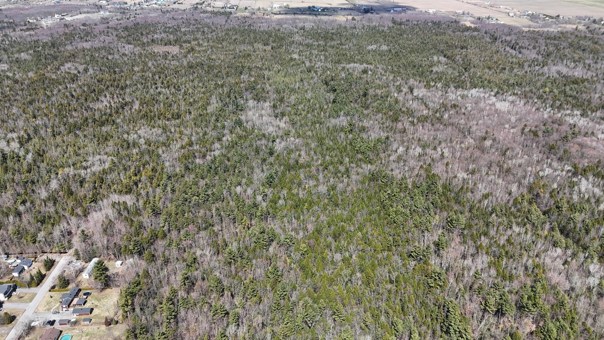 












Rue Télesphore

,
Terrebonne (Terrebonne),







QC
J6Y1C2

