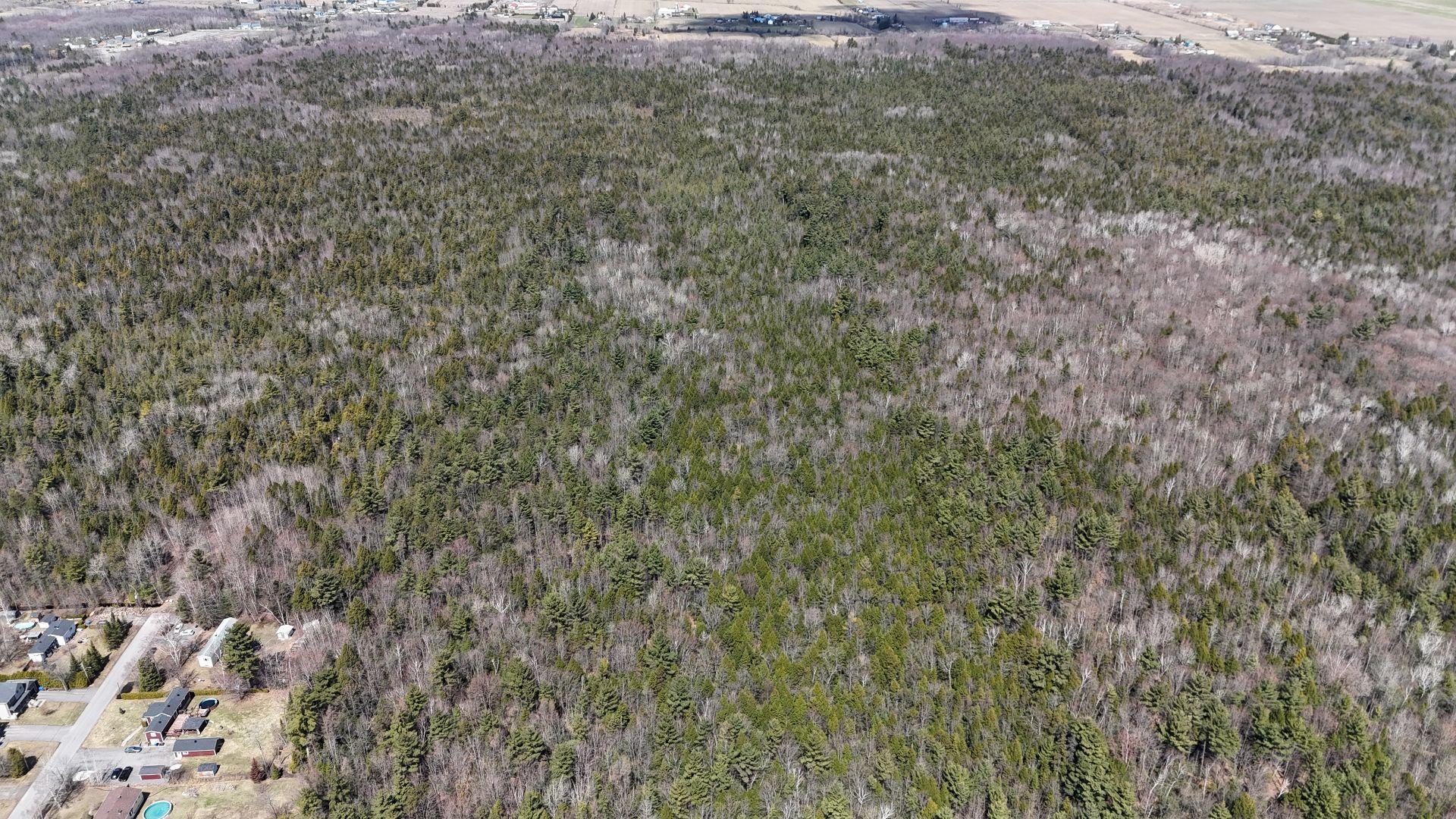 












Rue Télesphore

,
Terrebonne (Terrebonne),







QC
J6Y1C2

