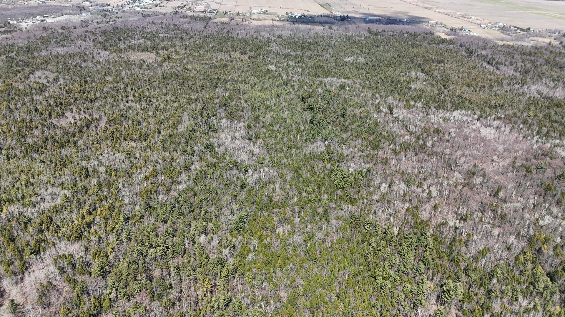 












Rue Télesphore

,
Terrebonne (Terrebonne),







QC
J6Y1C2

