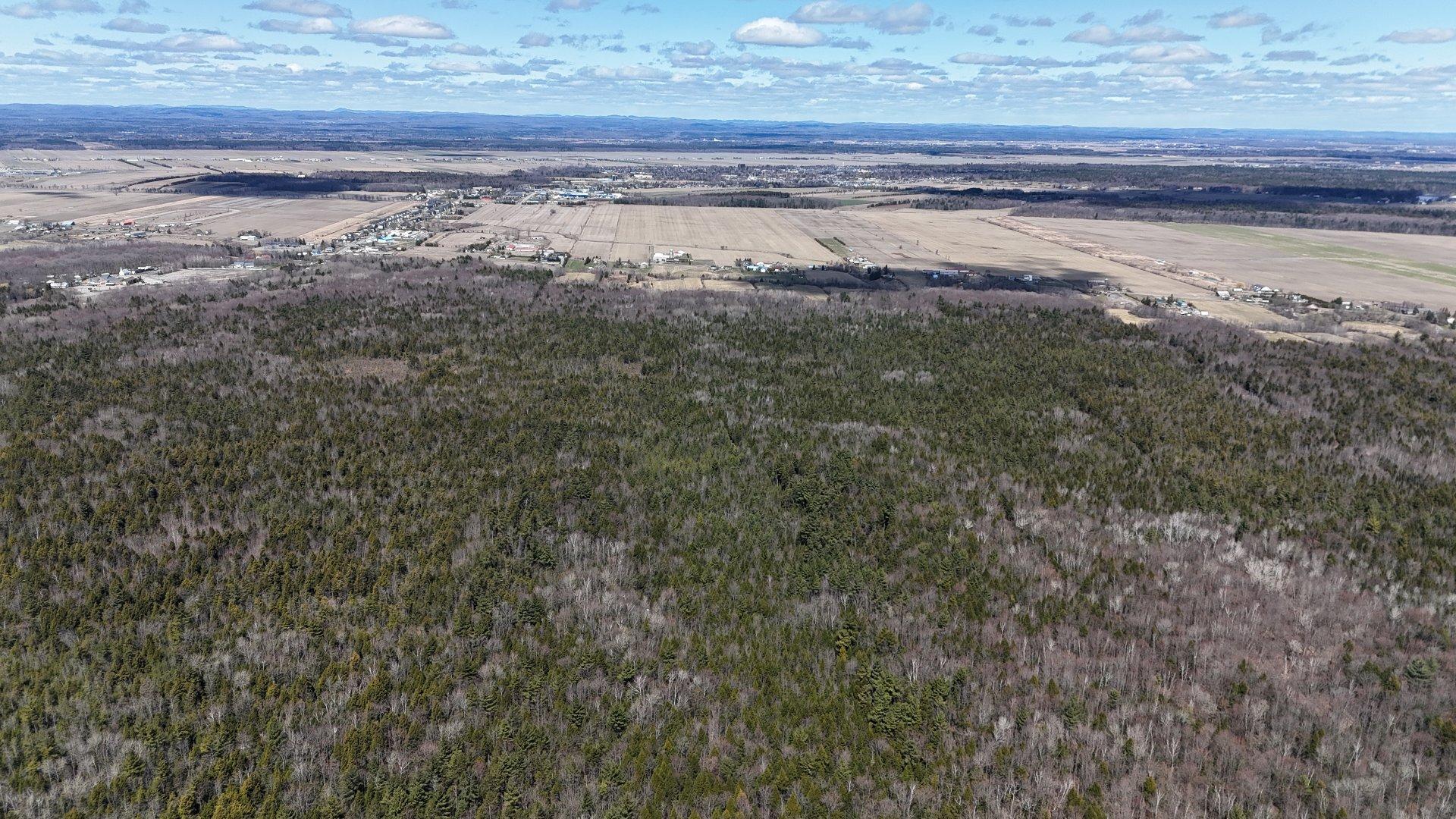 












Rue Télesphore

,
Terrebonne (Terrebonne),







QC
J6Y1C2

