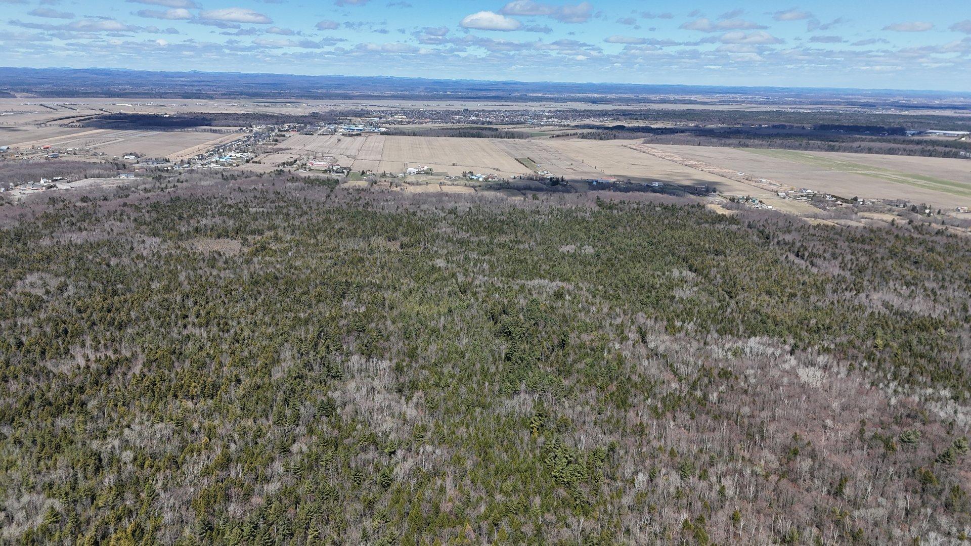 












Rue Télesphore

,
Terrebonne (Terrebonne),







QC
J6Y1C2

