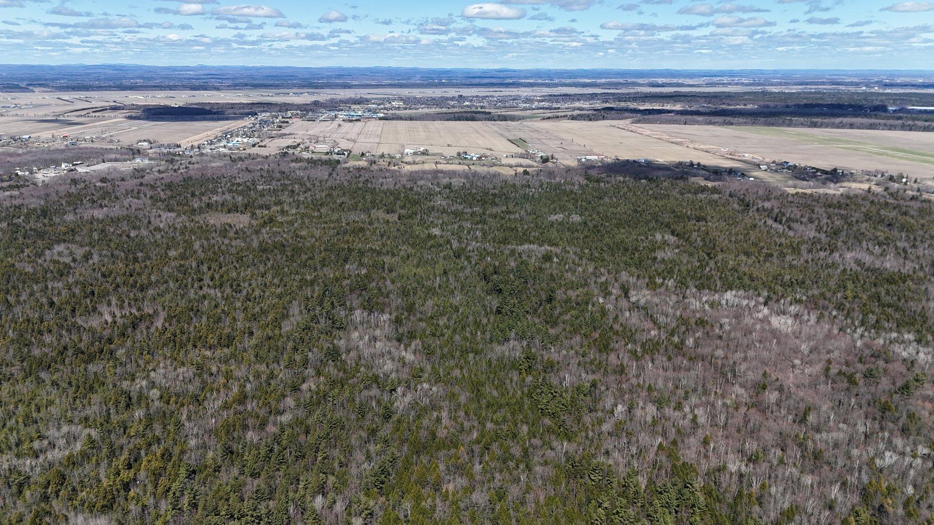 












Rue Télesphore

,
Terrebonne (Terrebonne),







QC
J6Y1C2

