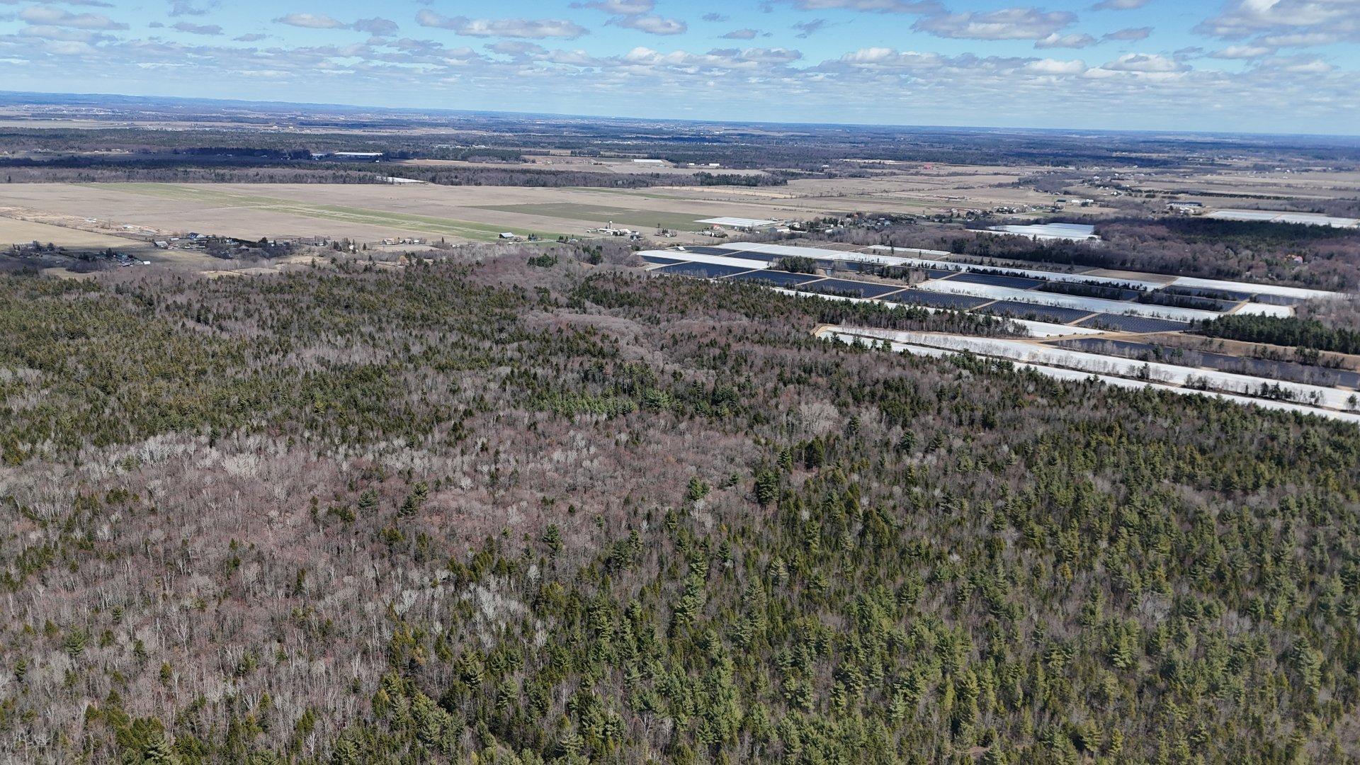












Rue Télesphore

,
Terrebonne (Terrebonne),







QC
J6Y1C2

