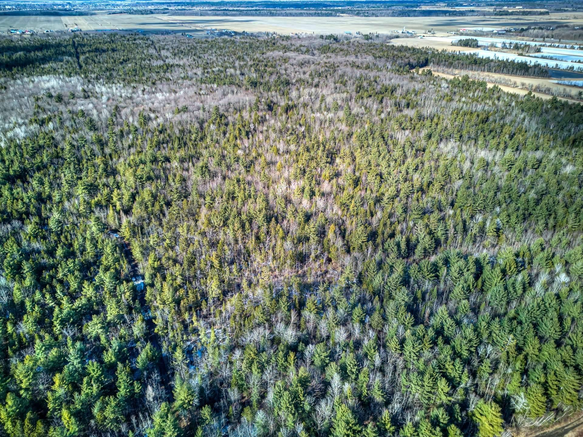 












Rue Télesphore

,
Terrebonne (Terrebonne),







QC
J6Y1C2

