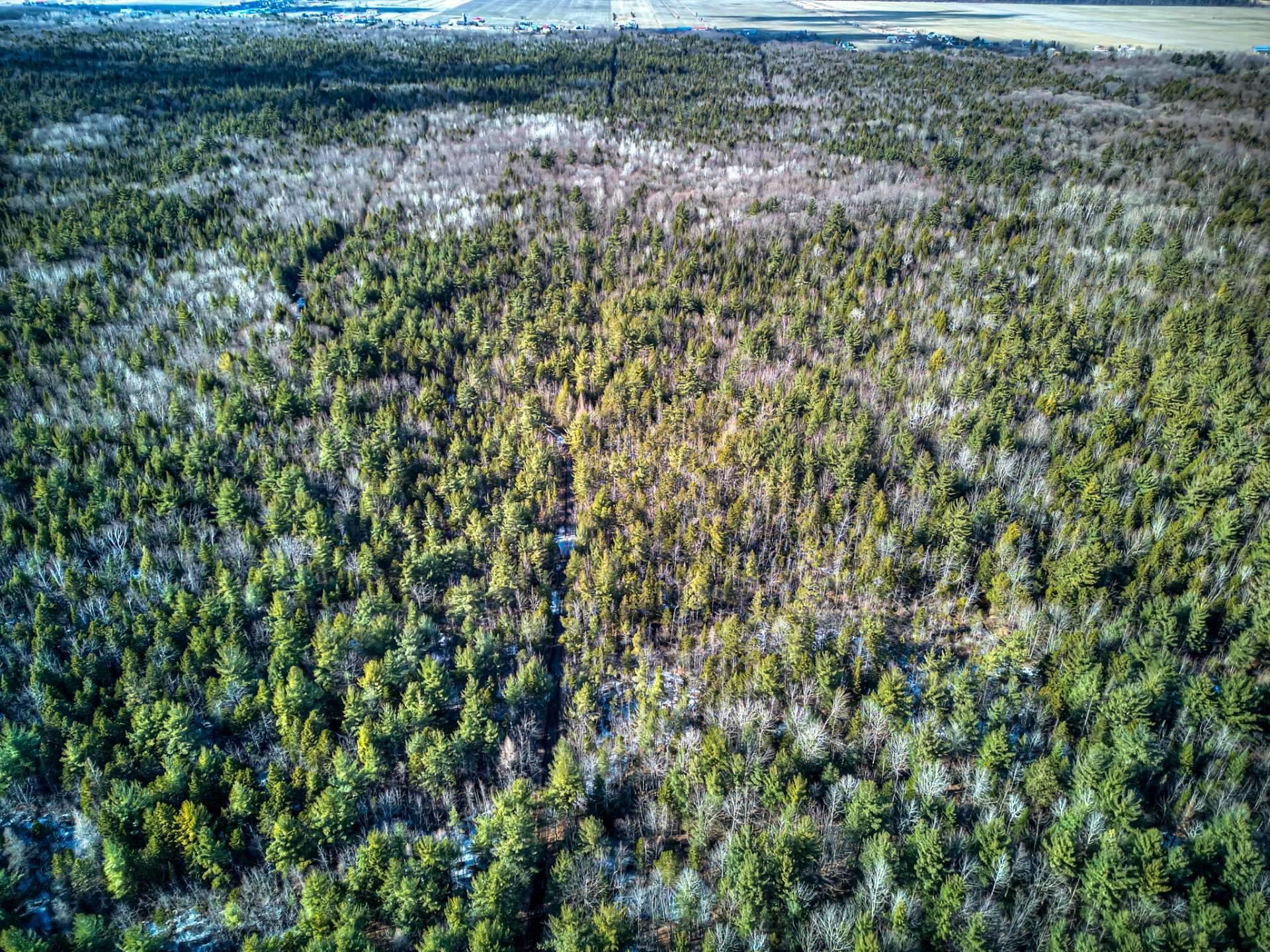 












Rue Télesphore

,
Terrebonne (Terrebonne),







QC
J6Y1C2

