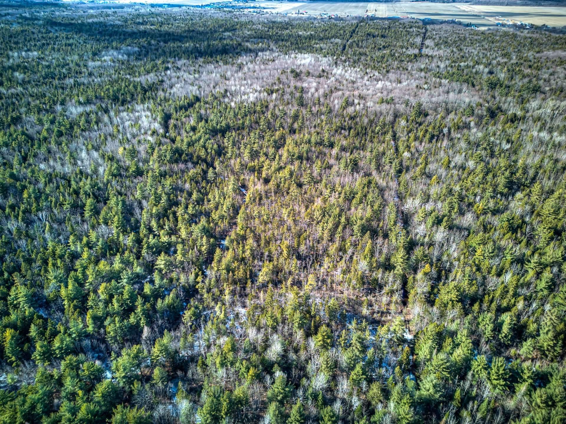 












Rue Télesphore

,
Terrebonne (Terrebonne),







QC
J6Y1C2

