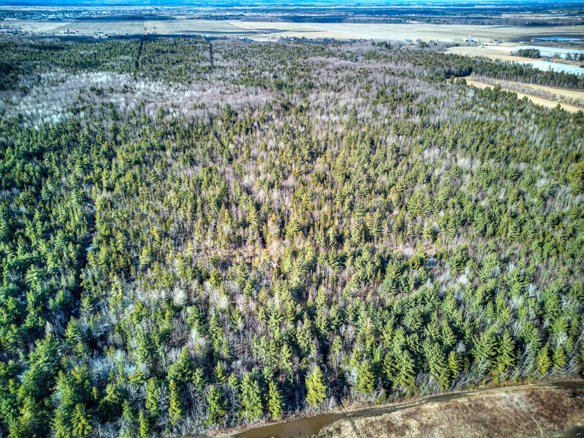 












Rue Télesphore

,
Terrebonne (Terrebonne),







QC
J6Y1C2

