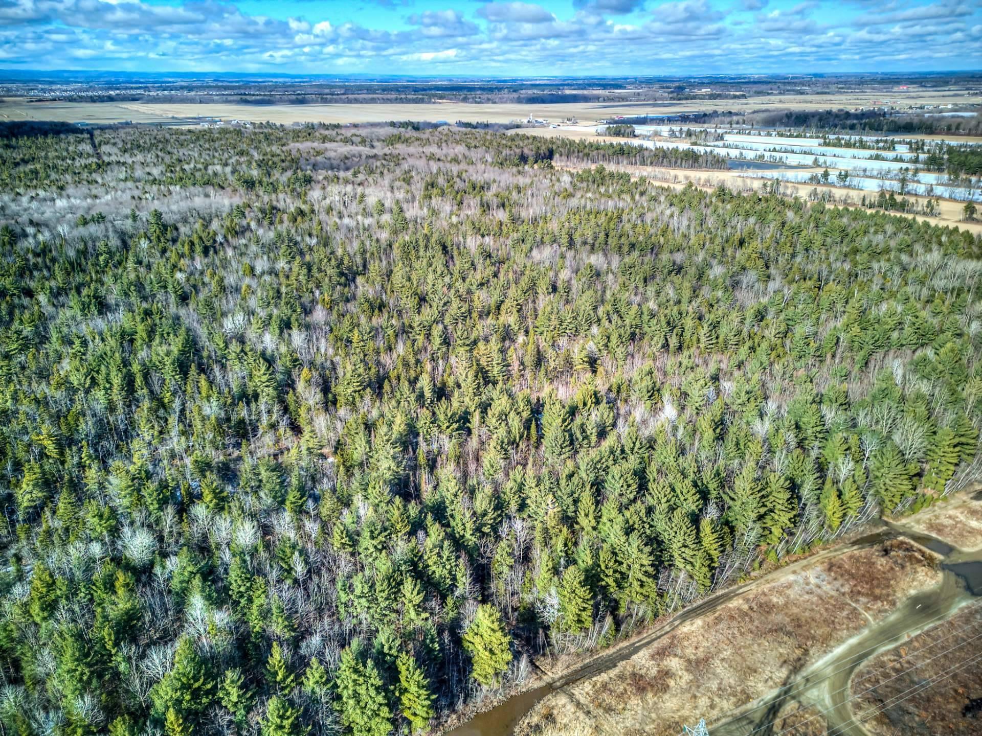 












Rue Télesphore

,
Terrebonne (Terrebonne),







QC
J6Y1C2

