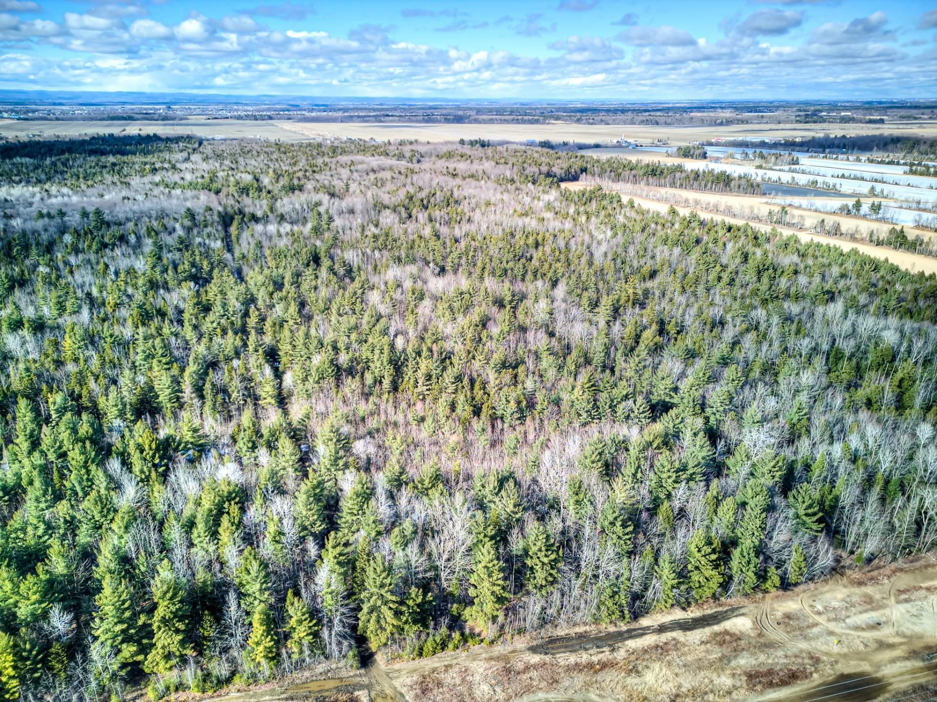 












Rue Télesphore

,
Terrebonne (Terrebonne),







QC
J6Y1C2

