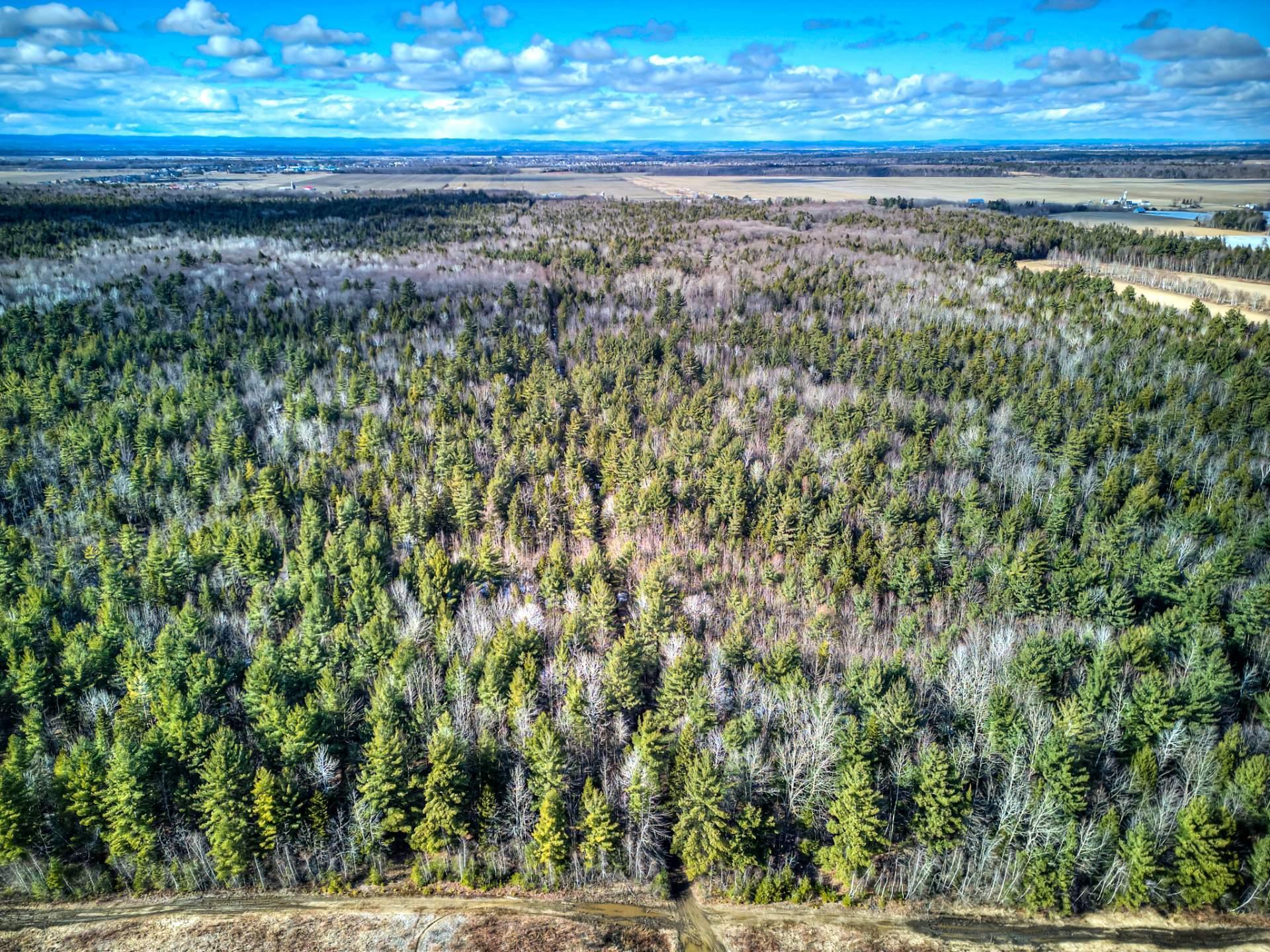 












Rue Télesphore

,
Terrebonne (Terrebonne),







QC
J6Y1C2

