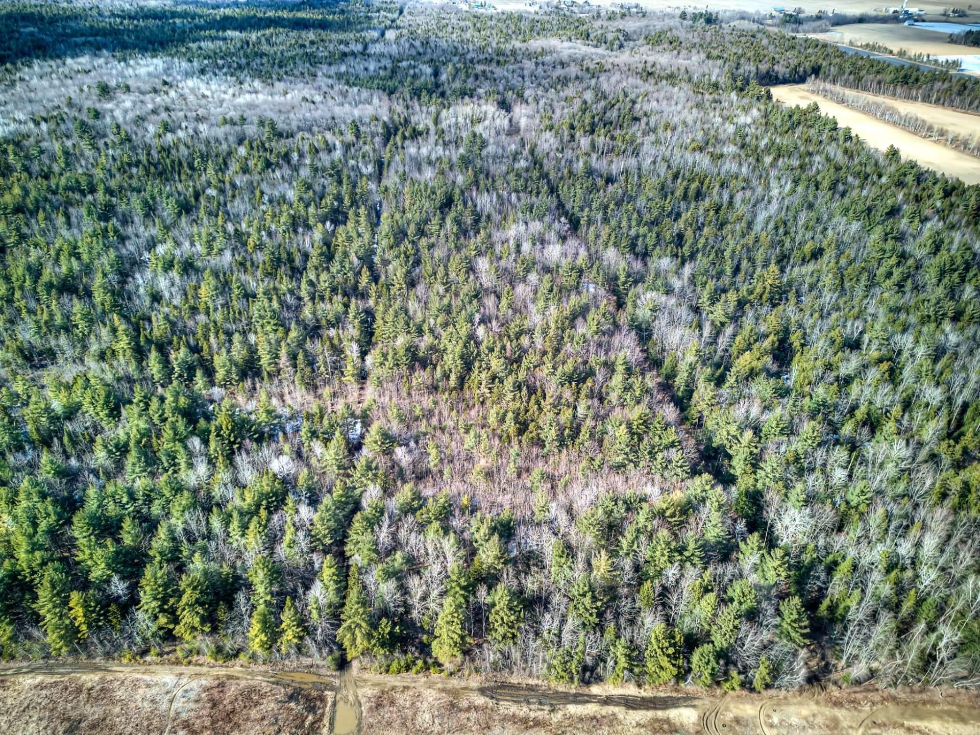 












Rue Télesphore

,
Terrebonne (Terrebonne),







QC
J6Y1C2

