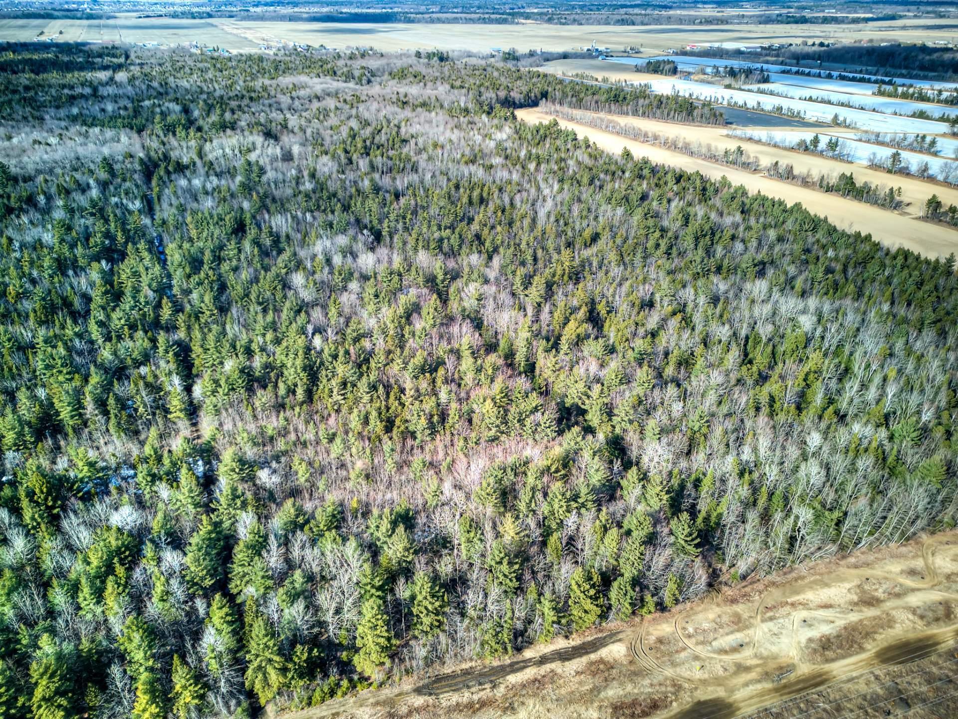 












Rue Télesphore

,
Terrebonne (Terrebonne),







QC
J6Y1C2

