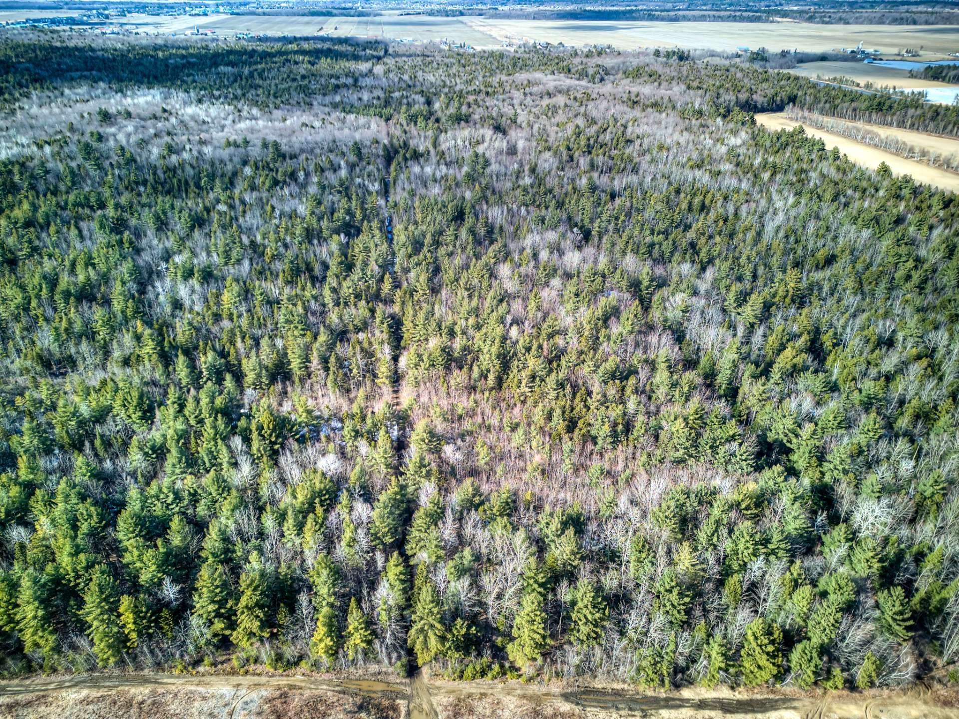 












Rue Télesphore

,
Terrebonne (Terrebonne),







QC
J6Y1C2

